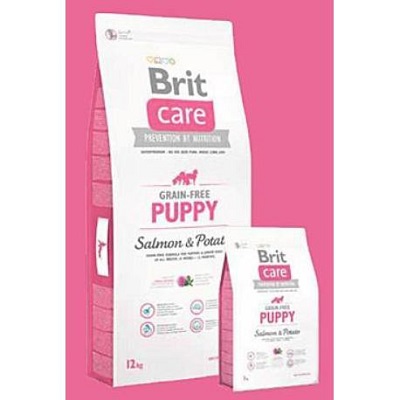 puppy salmon 3 kg