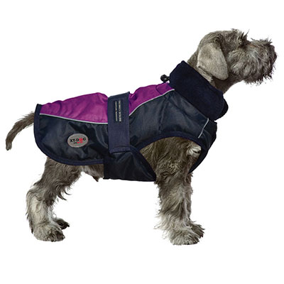 sport morado