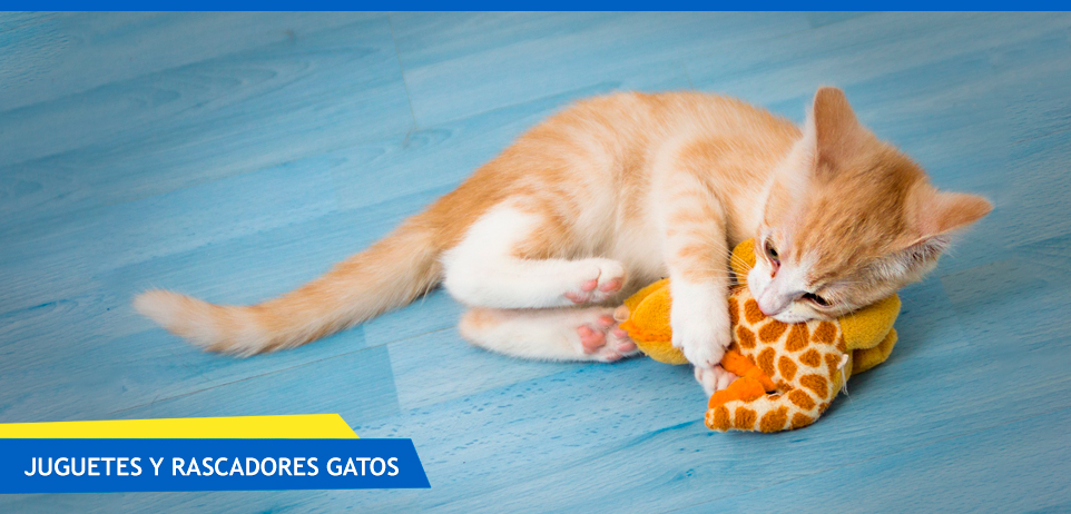 Juguetes y rascadores para gatos